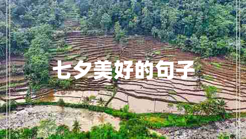 七夕美好的句子 七夕美好的句子