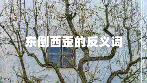 東倒西歪的反義詞