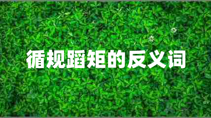 循規(guī)蹈矩的反義詞 循規(guī)蹈矩的反義詞