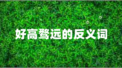 好高騖遠(yuǎn)的反義詞