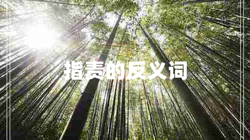 指責(zé)的反義詞