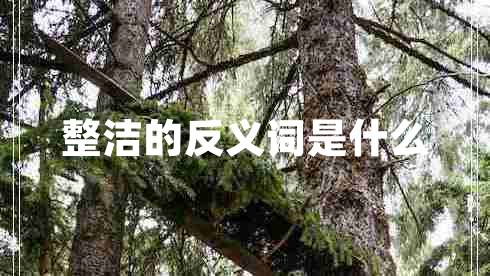 整潔的反義詞是什么