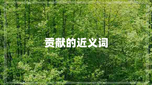 貢獻(xiàn)的近義詞