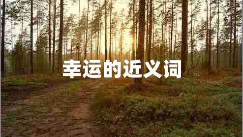 幸運的近義詞 幸運的近義詞