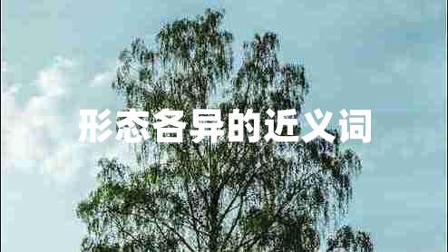 形態(tài)各異的近義詞 形態(tài)各異的近義詞