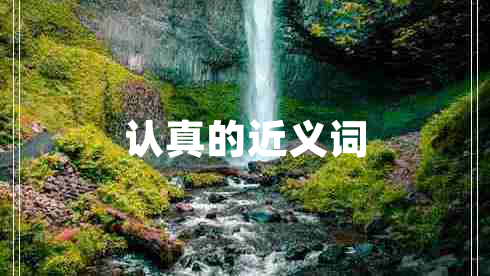 認(rèn)真的近義詞