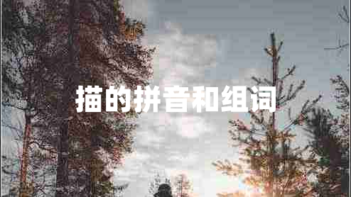 描的拼音和組詞