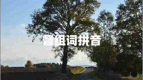 督組詞拼音 督組詞拼音