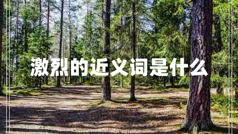 激烈的近義詞是什么