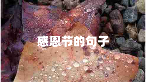 感恩節(jié)的句子 感恩節(jié)的句子