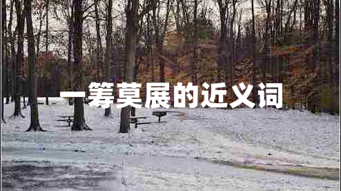 一籌莫展的近義詞