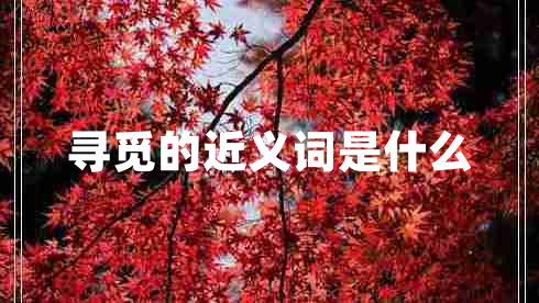 尋覓的近義詞是什么