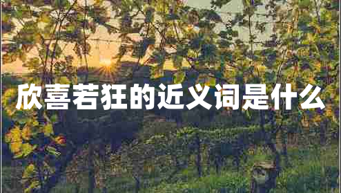 欣喜若狂的近義詞是什么