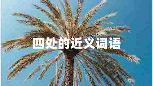 四處的近義詞語