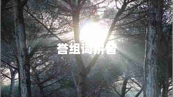 譽(yù)組詞拼音