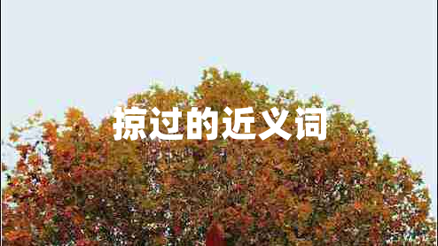 掠過(guò)的近義詞