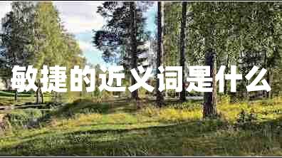 敏捷的近義詞是什么