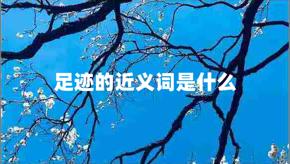 足跡的近義詞是什么