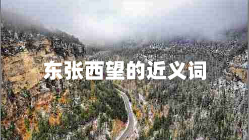 東張西望的近義詞