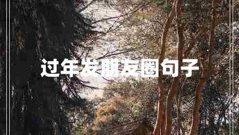 過年發(fā)朋友圈句子