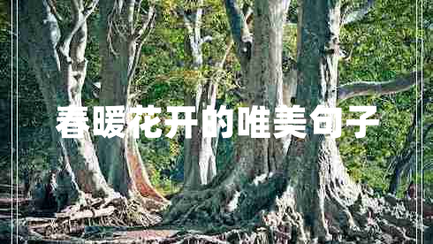 春暖花開(kāi)的唯美句子