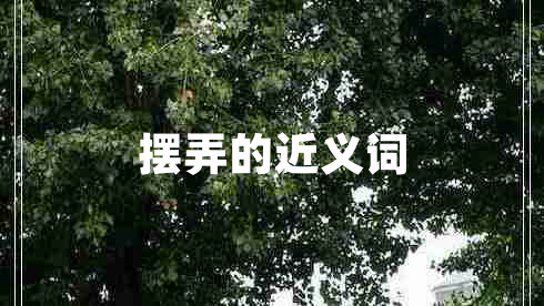 擺弄的近義詞