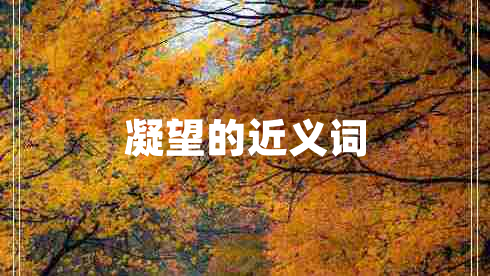 凝望的近義詞