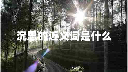 沉思的近義詞是什么