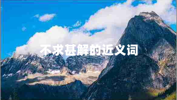 不求甚解的近義詞