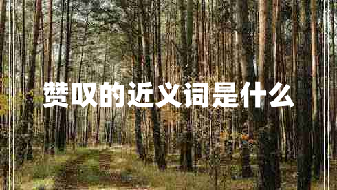 贊嘆的近義詞是什么