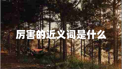 厲害的近義詞是什么
