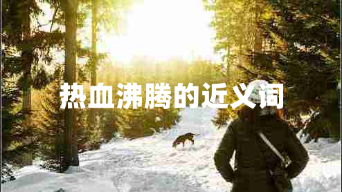 熱血沸騰的近義詞