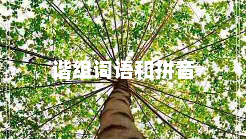 諧組詞語(yǔ)和拼音