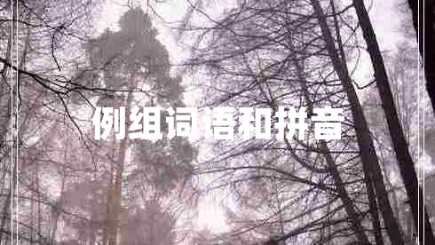 例組詞語和拼音