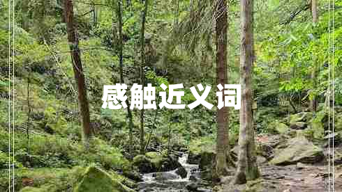 感觸近義詞
