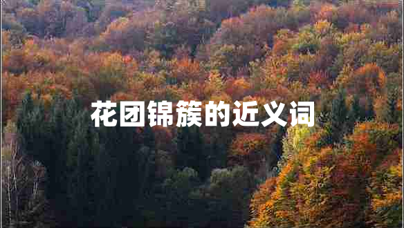 花團錦簇的近義詞