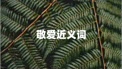 敬愛近義詞