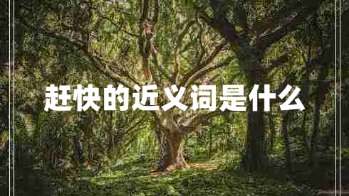 趕快的近義詞是什么