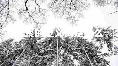 凝聚的近義詞是什么