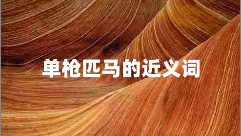 單槍匹馬的近義詞