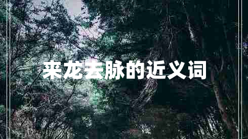 來龍去脈的近義詞