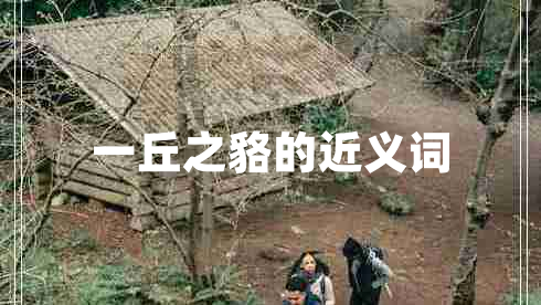 一丘之貉的近義詞