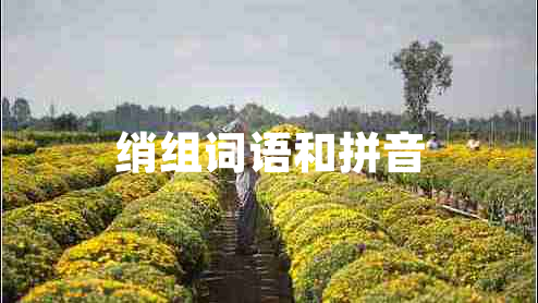 綃組詞語和拼音