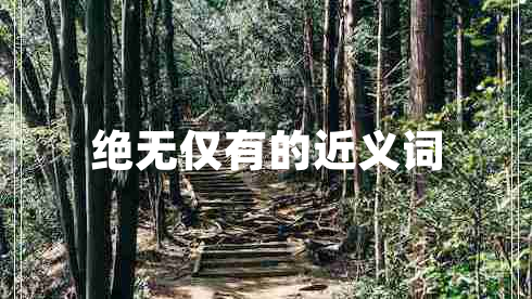 絕無(wú)僅有的近義詞