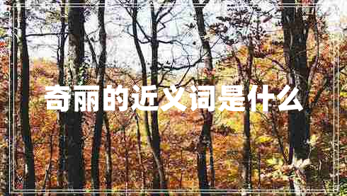 奇麗的近義詞是什么