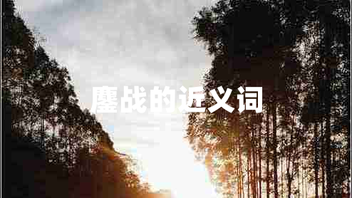 鏖戰(zhàn)的近義詞