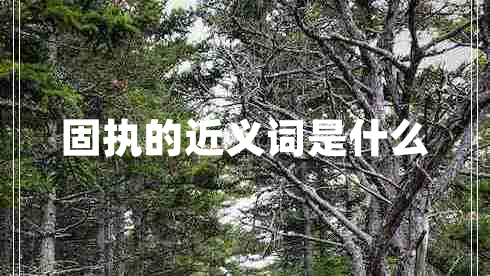 固執(zhí)的近義詞是什么