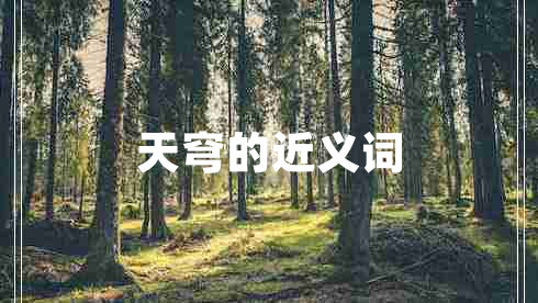 天穹的近義詞