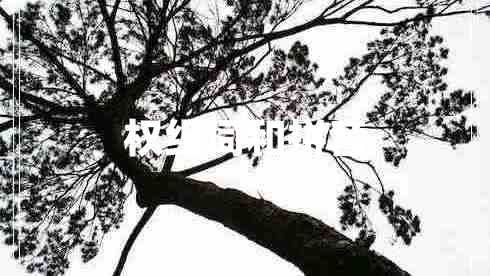 權(quán)組詞和拼音