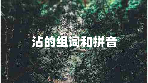 沾的組詞和拼音